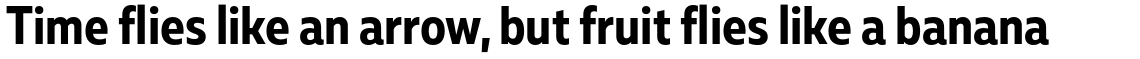 Muller Sans Narrow Bold
