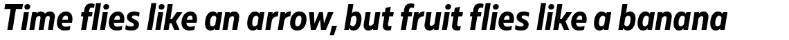 Muller Sans Narrow Bold Italic