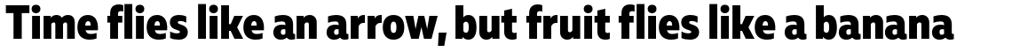 Muller Sans Narrow ExtraBold