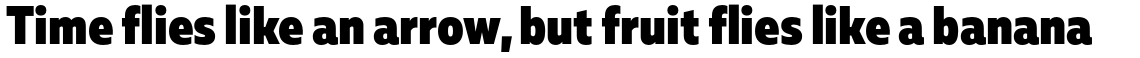 Muller Sans Narrow Black
