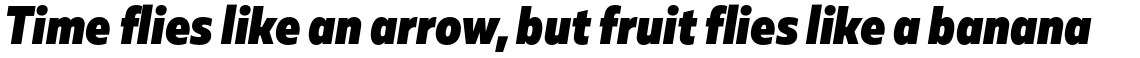 Muller Sans Narrow Black Italic
