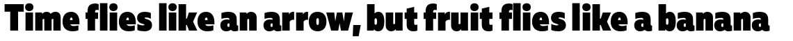 Muller Sans Narrow Heavy