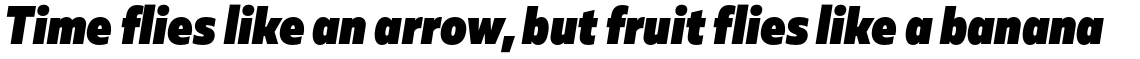 Muller Sans Narrow Heavy Italic
