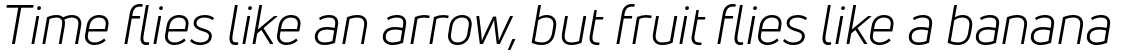 Uni Neue Book Italic