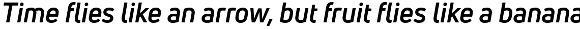 Uni Neue Bold Italic