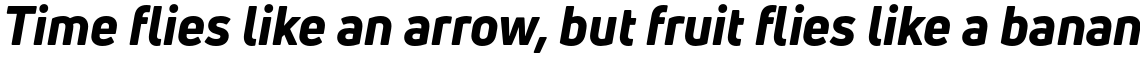 Uni Neue Heavy Italic