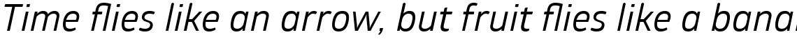Glober Regular Italic