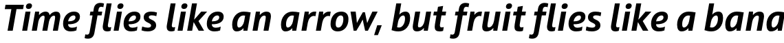 Squad Bold Italic