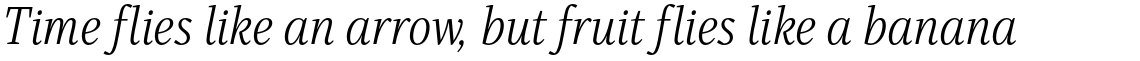 Singel Book Italic