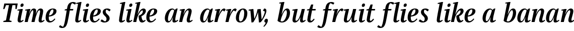 Singel Bold Italic