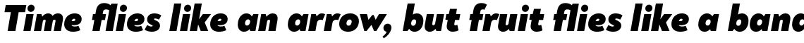 Noah Black Italic