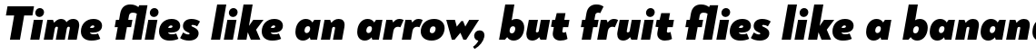 Noah Grotesque Black Italic