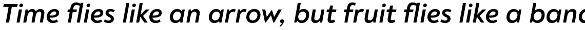Noah Text Bold Italic