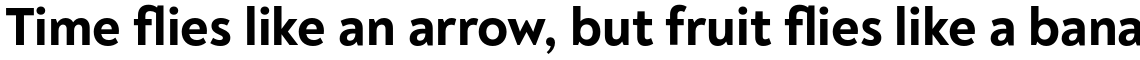 Noah Text ExtraBold