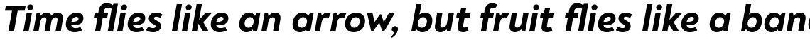 Noah Text ExtraBold Italic
