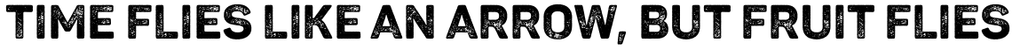 Panton Rust ExtraBold Grunge