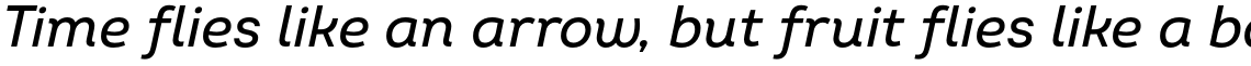 Intro Medium Italic