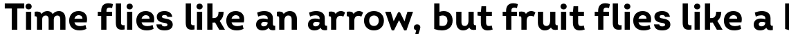 Intro Bold