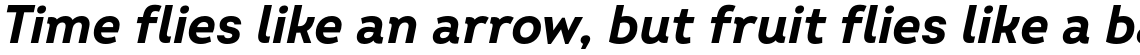 Intro Bold Oblique