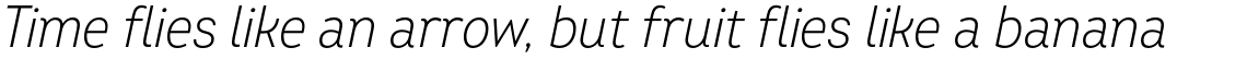 Intro Condensed Light Oblique