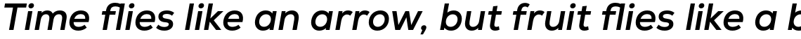 Nexa Bold Italic