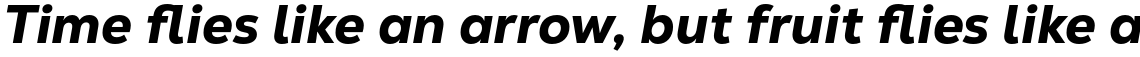 Nexa Text Heavy Italic