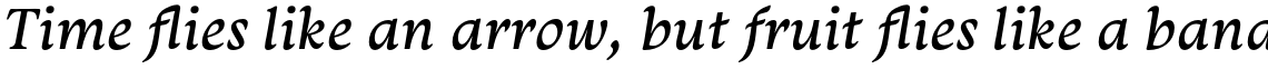 Monarcha Italic