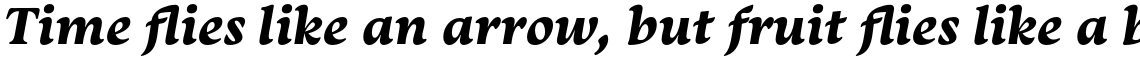 Monarcha Bold Italic