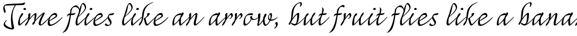 Mayence Text