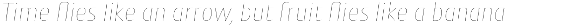 Cantiga Normal Thin Italic