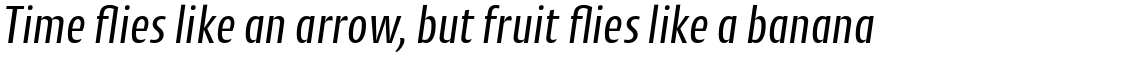 Cantiga Condensed Basic Set (Roman+Italic, Bold+Italic)