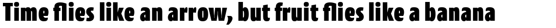 Cantiga Condensed Black Roman