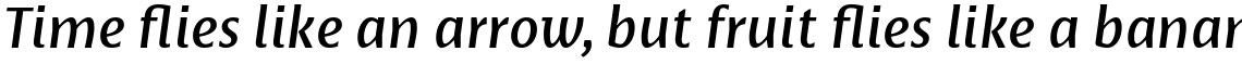 Basel Neue Medium Italic