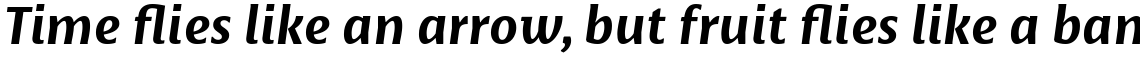 Basel Neue Bold Italic
