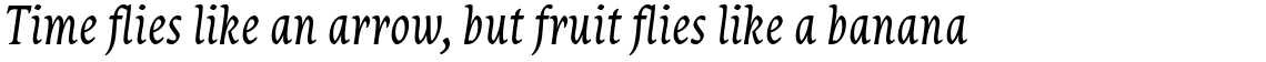Destra Italic