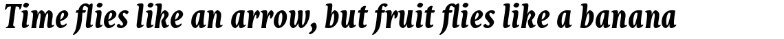 Destra Bold Italic