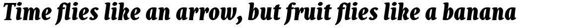 Destra Black Italic