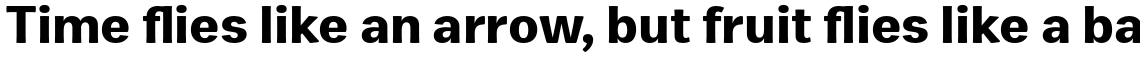 Zega Text Bold