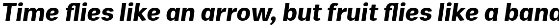 Zega Text Bold Italic