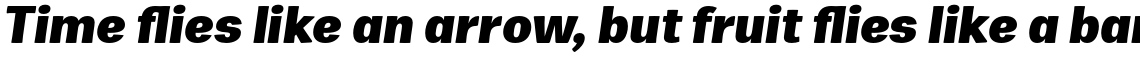 Zega Text Extra Bold (Roman + Italic)