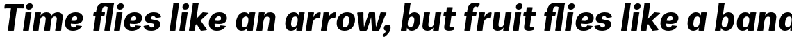 Zega Grot Bold Italic