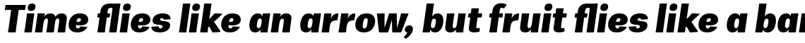 Zega Grot Extrabold Italic