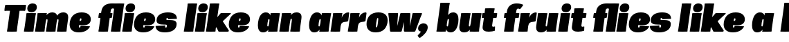 Zega Grot Black Italic