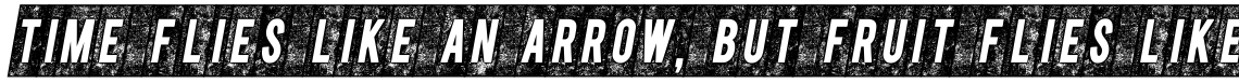 CPL Kirkwood Knockout Italics