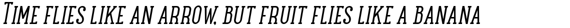 Maxwell Slab Book Italic SC