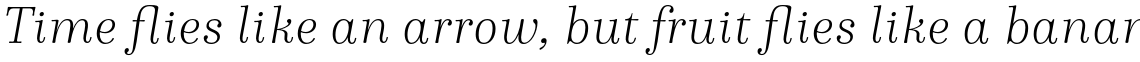 Winslow Book Hairline Italic