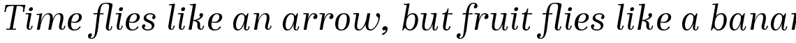 Winslow Book Regular Italic