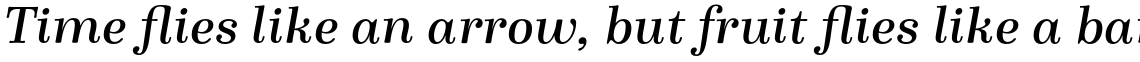 Winslow Book SemiBold Italic