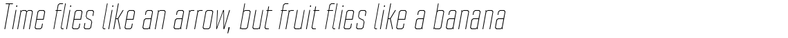 Refinery 25 Hairline Italic