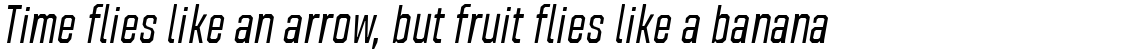 Refinery 25 Regular Italic